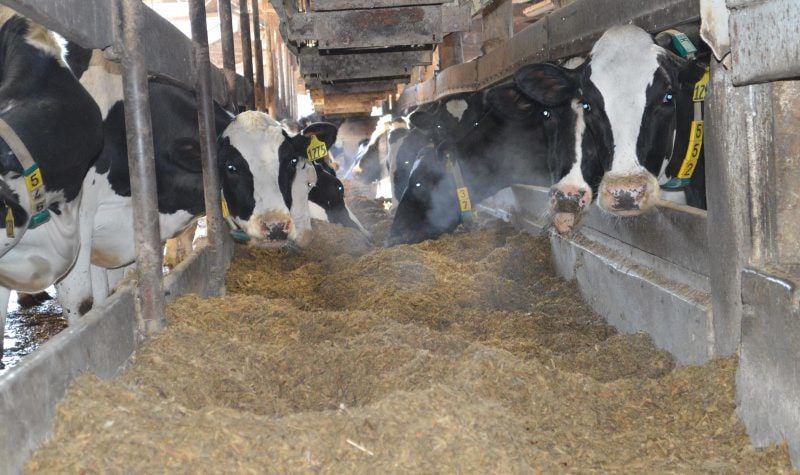 Feed Bunk